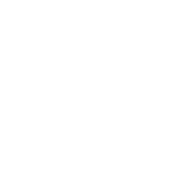 Productivity-Insights